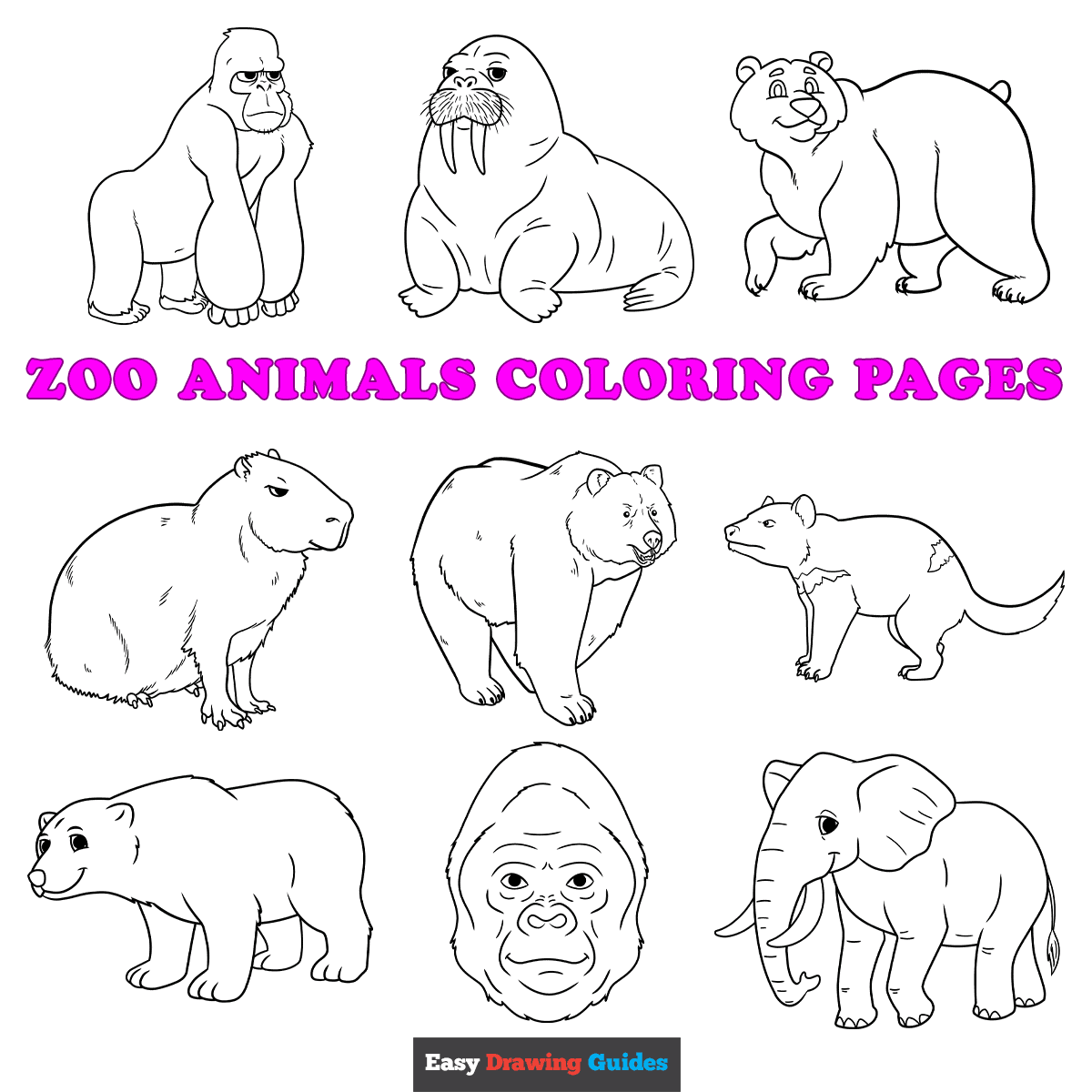 Free Printable Zoo Animals Coloring Pages For Kids