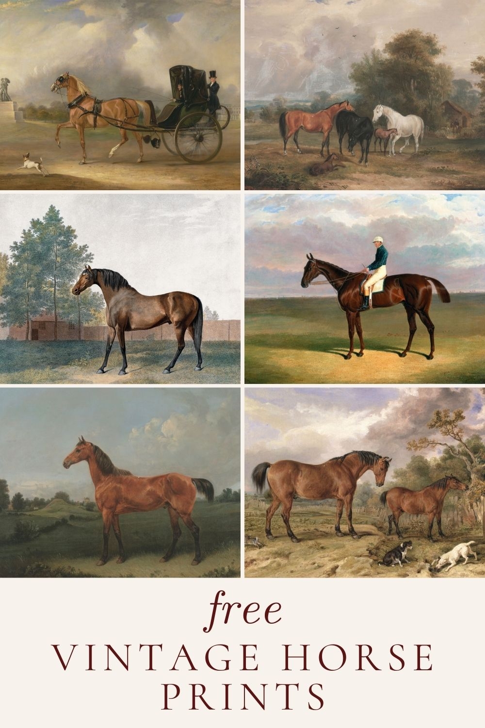 Free Printable Pictures Of Horses