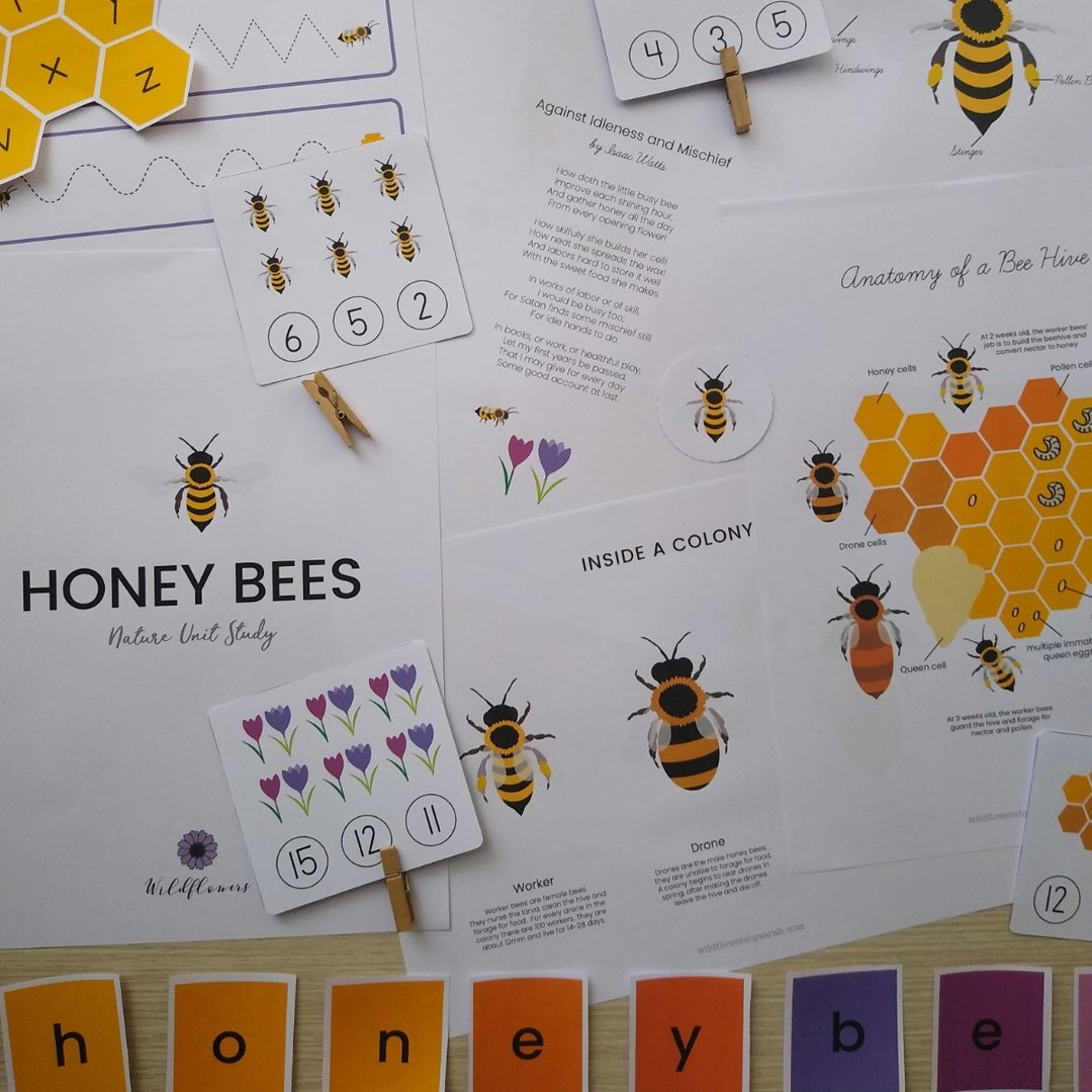 Honeybees Unit Study Wildflowers