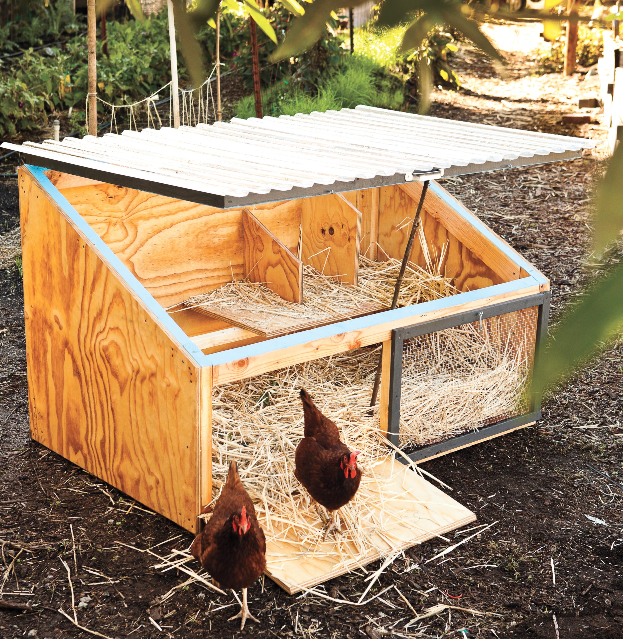 How To Build A Chicken Coop Because Your Backyard Needs Chickens