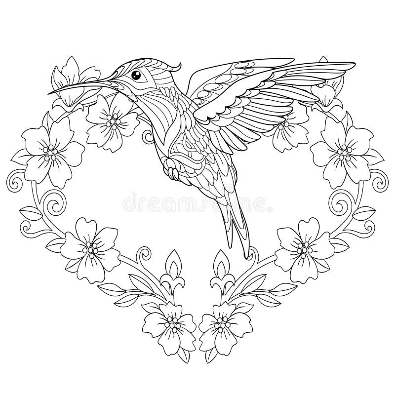 Hummingbird Adult Coloring Page Stock Illustrations 298 Hummingbird Adult Coloring Page Stock Illustrations Vectors U0026 Clipart Dreamstime