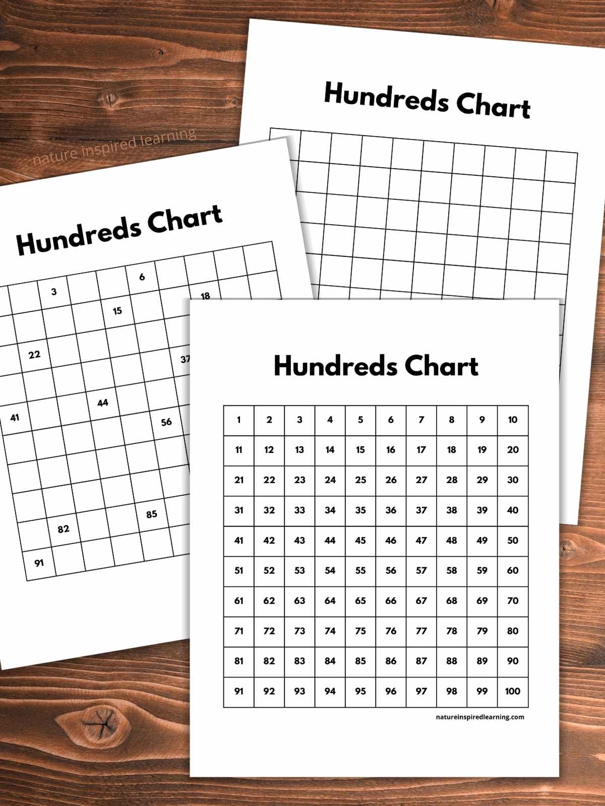 Blank 100 Chart Free Printable