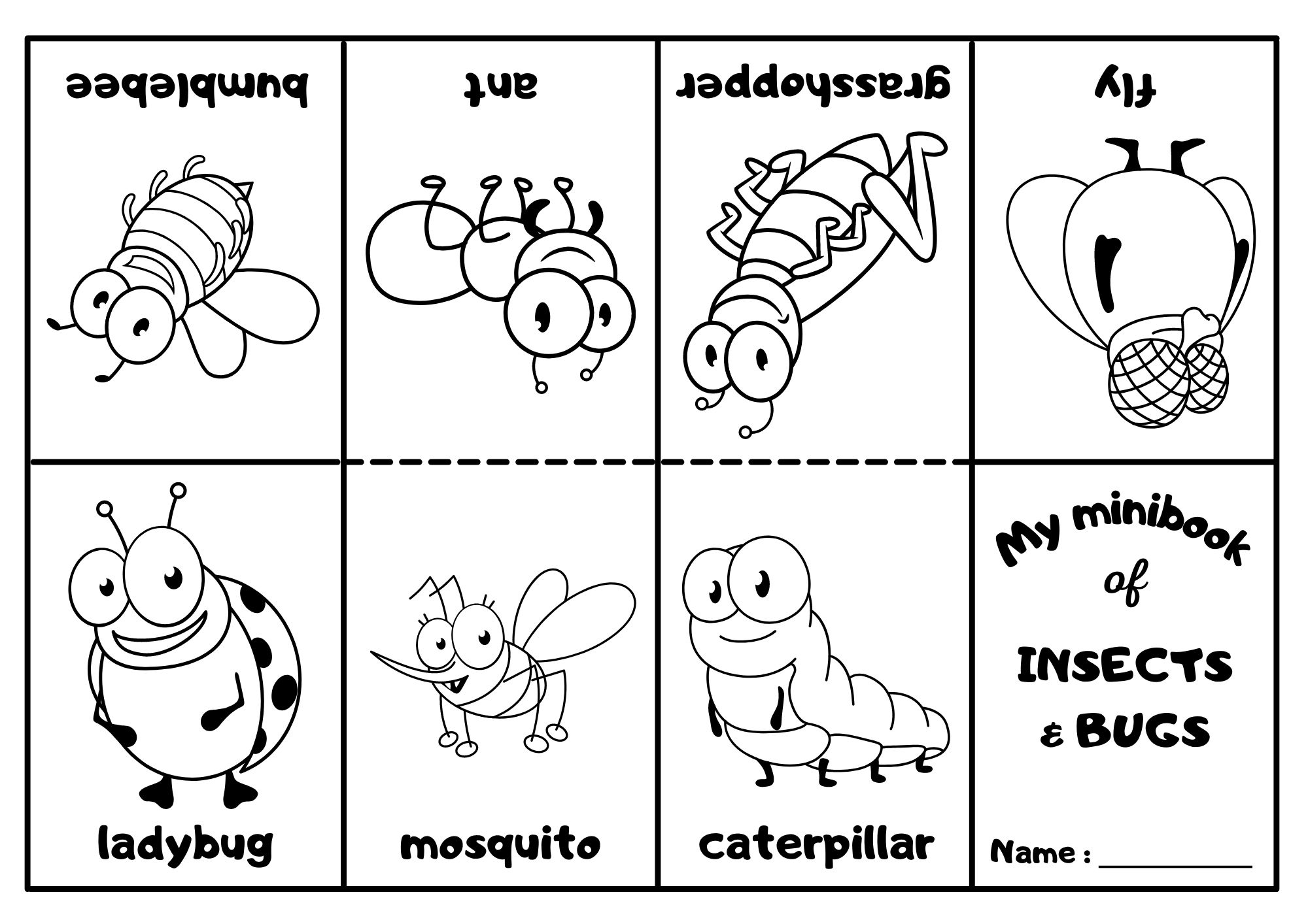 Free Printable Bug Coloring Pages
