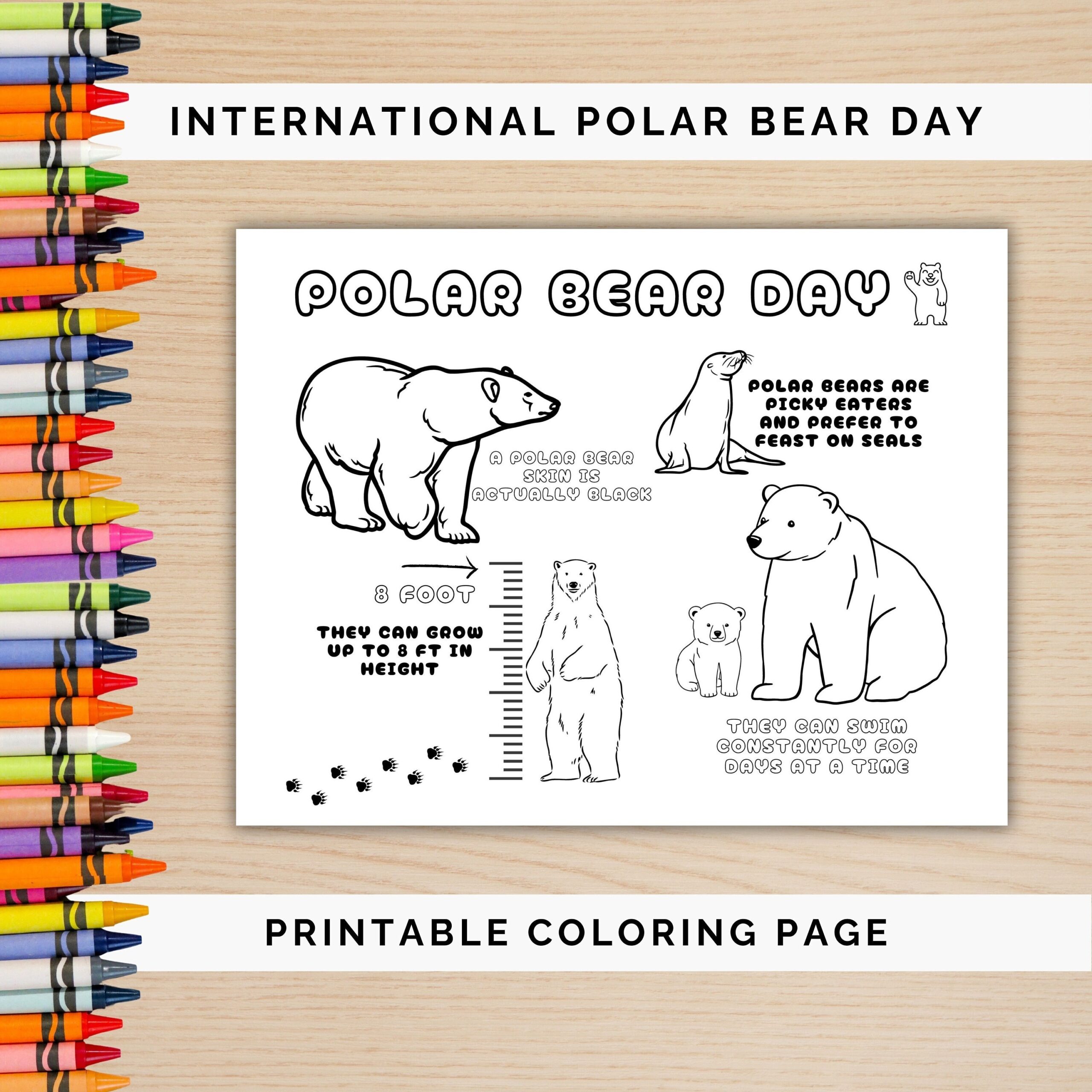 Free Printable Polar Bear Coloring Pages