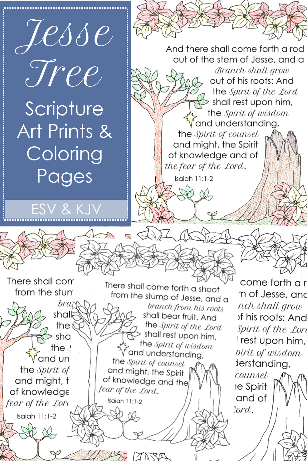 Jesse Tree Scripture Printable Poster U0026 Coloring Page