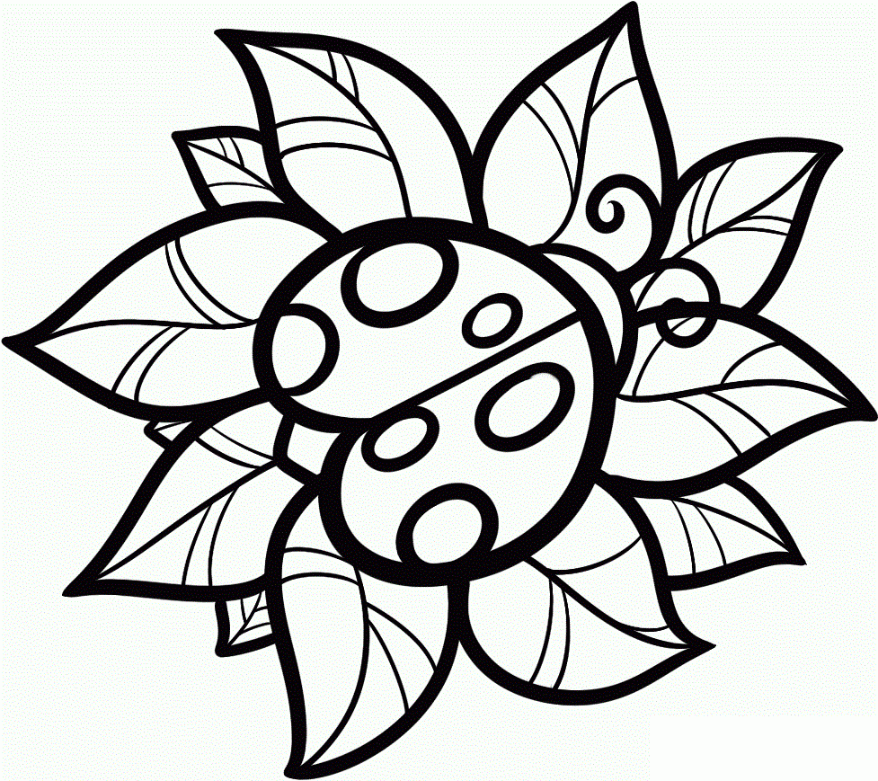 Free Printable Coloring Pages Of Ladybugs