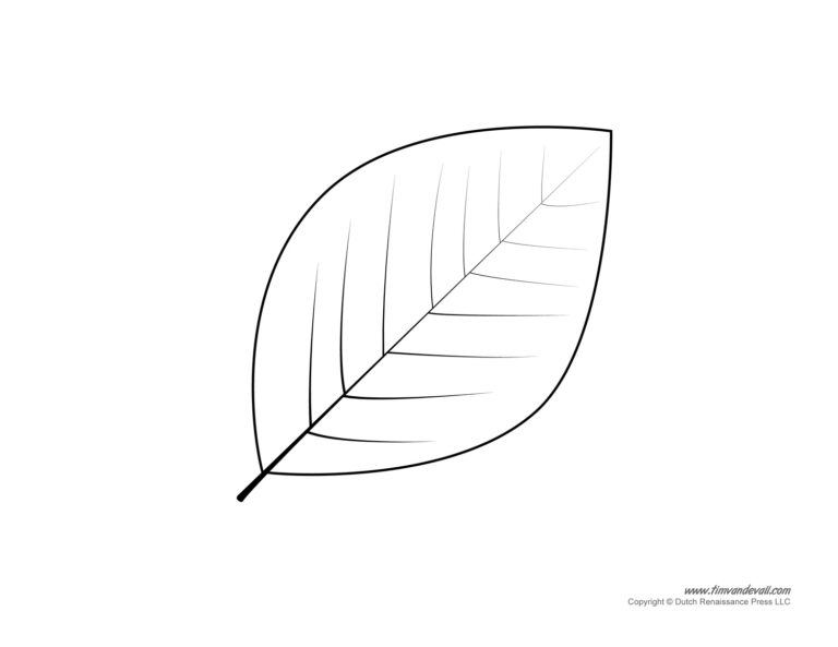 Leaf Templates U0026 Leaf Coloring Pages For Kids Leaf Printables