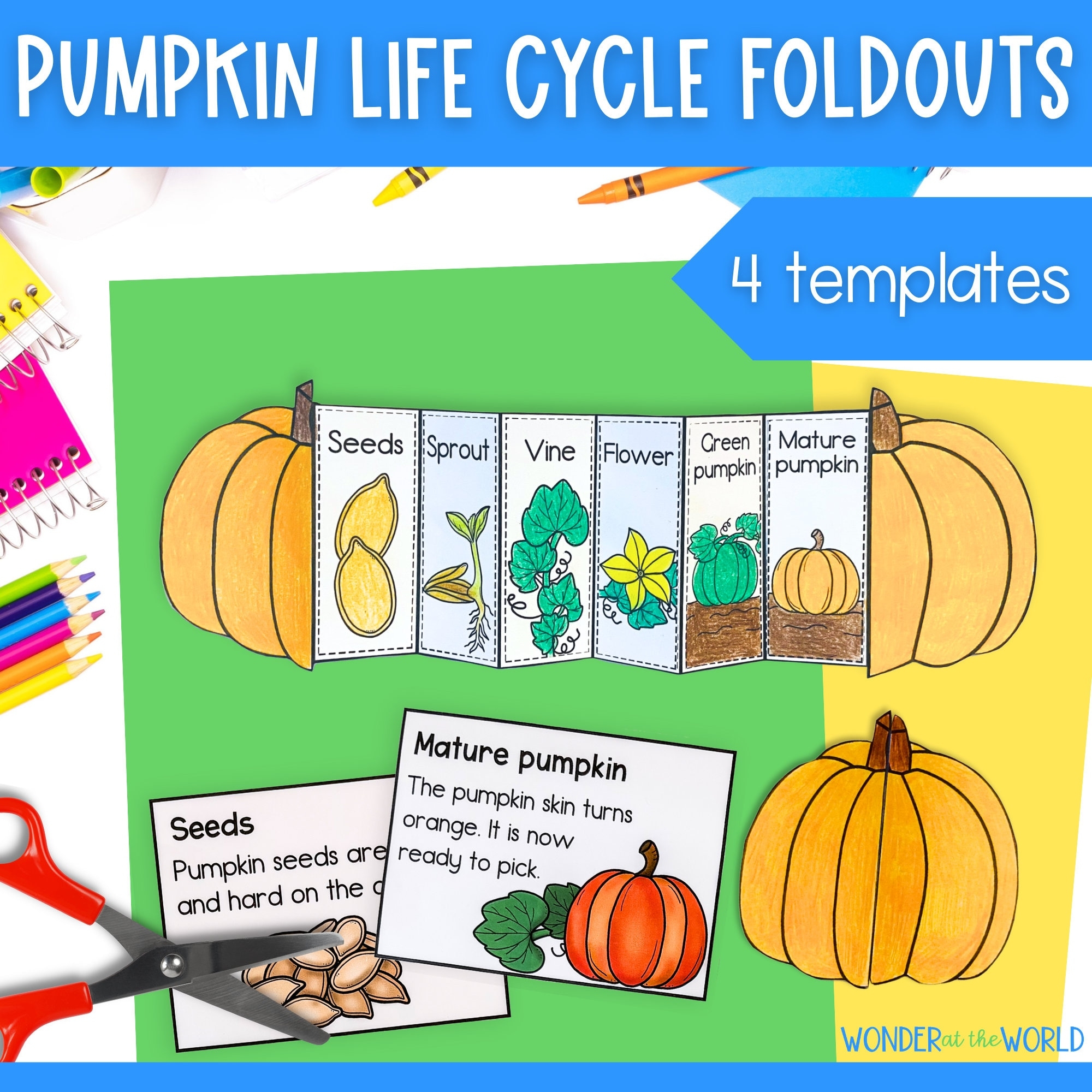 Life Cycle Of A Pumpkin Foldable Activity For Kids A4 And 11x8 5 