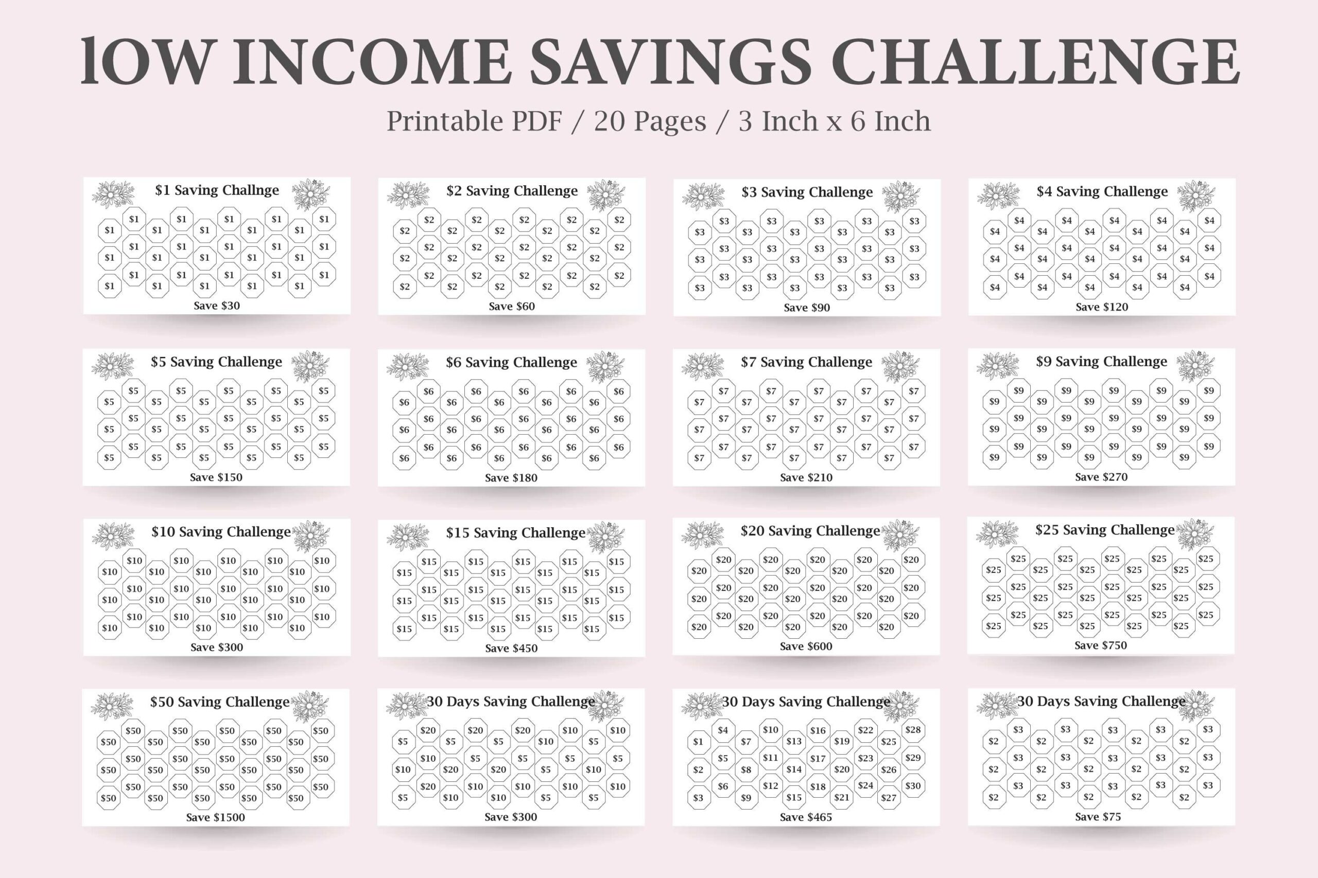 Low Income Savings Challenge Savings Tracker