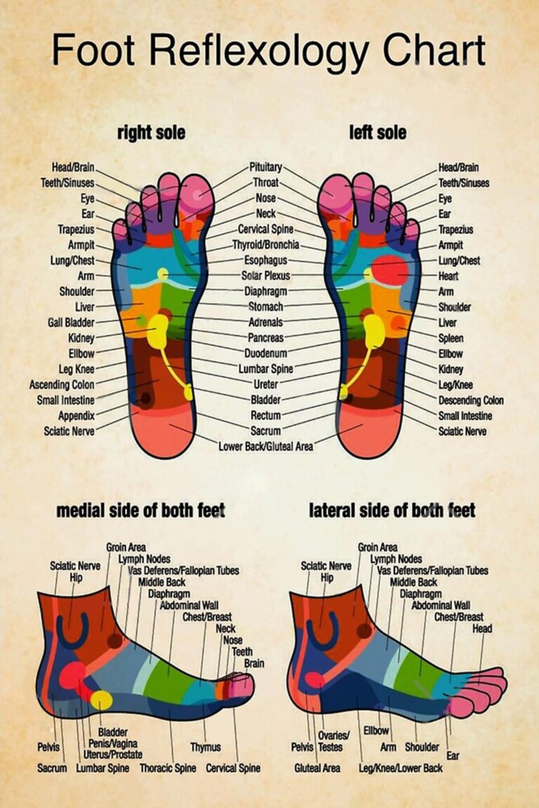 Massage Therapist Foot Reflexology Chart 1 Poster Vintage Poster Etsy New Zealand