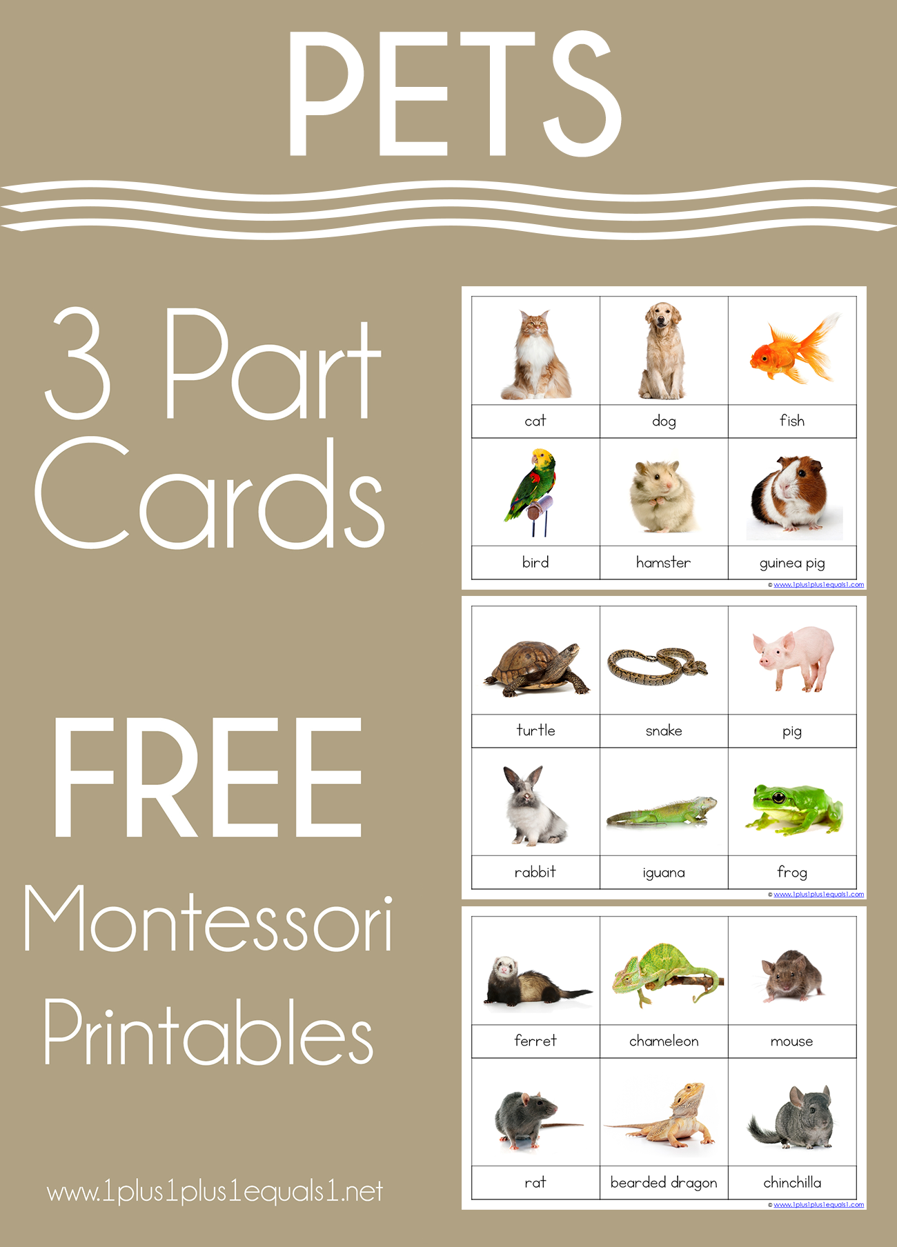 Pet 3 Part Printable Cards And Boom Cards 1 1 1u003d1