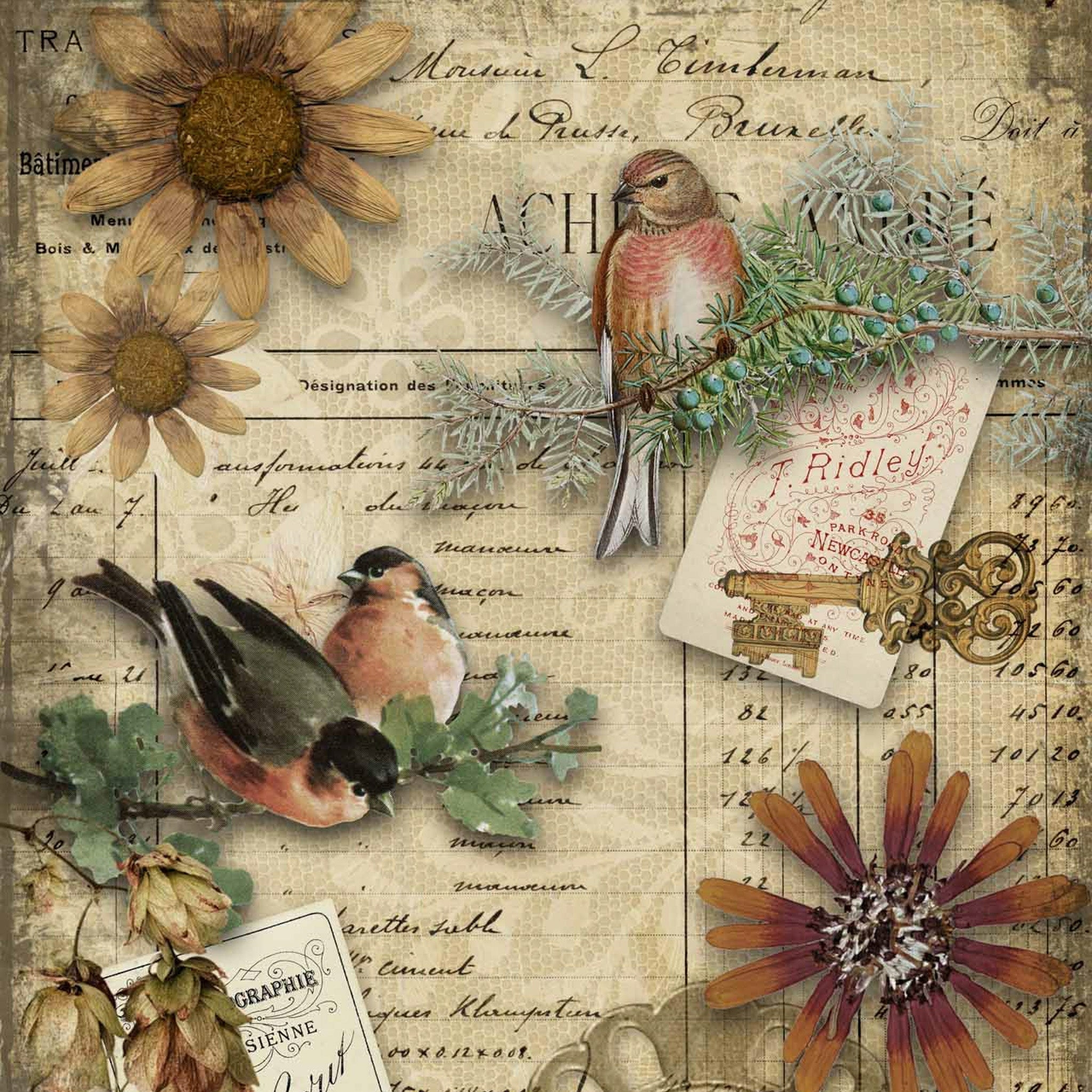 Pre Order Autumn Birds A0 Rice Decoupage Paper Worksheets Library