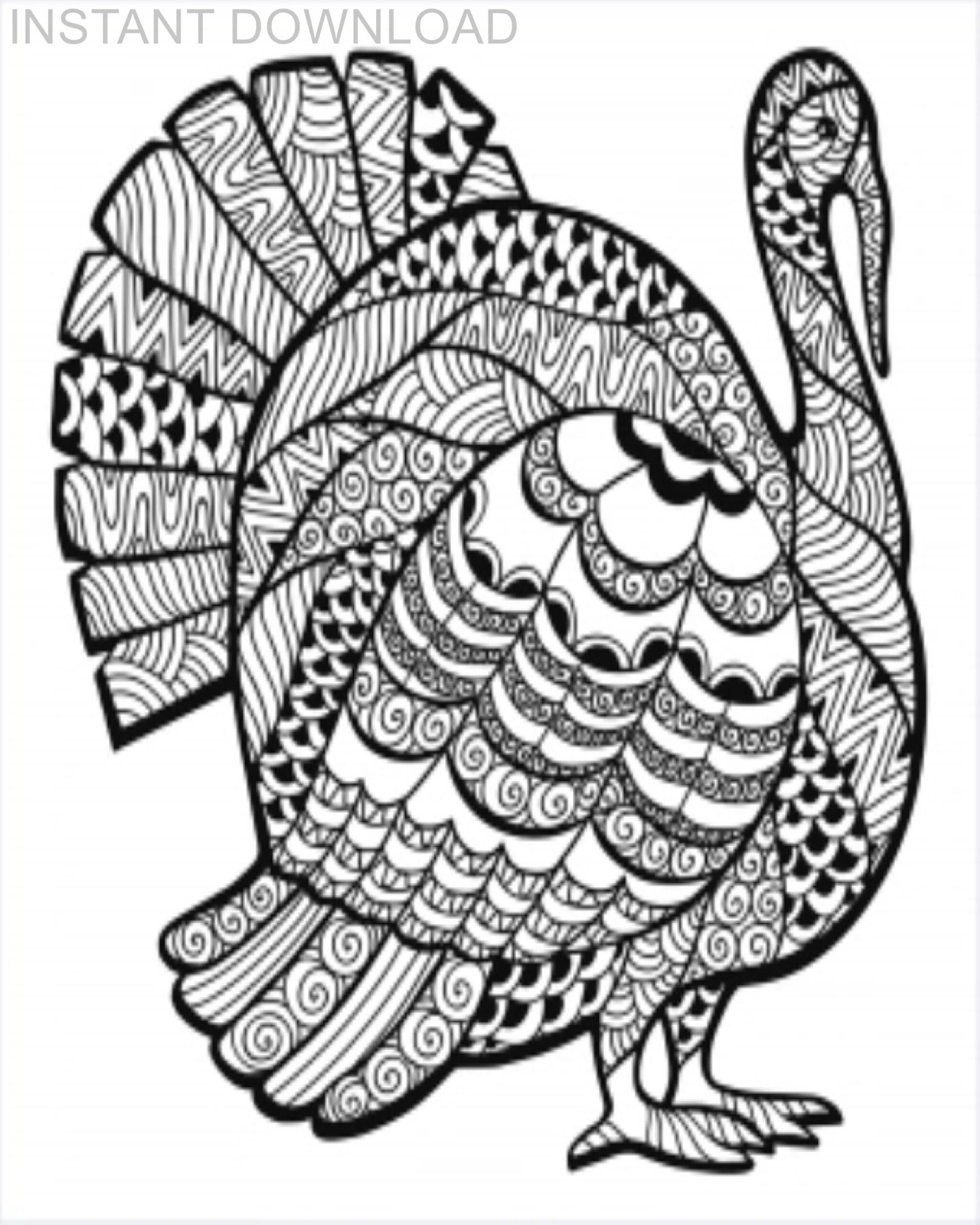 Printable 8 X 10 Thanksgiving Turkey Coloring Page instant 