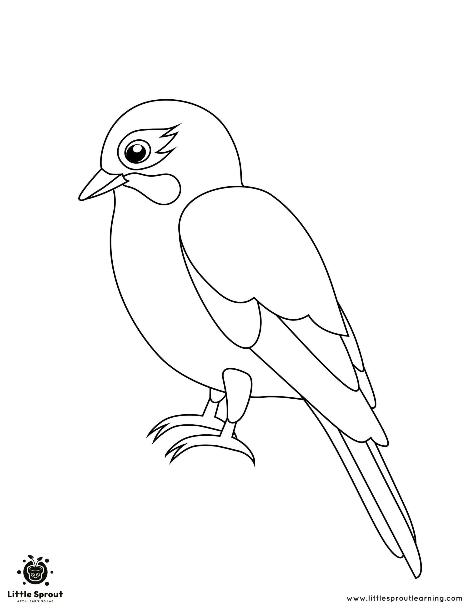 Printable Bird Colouring Pages For Your Child