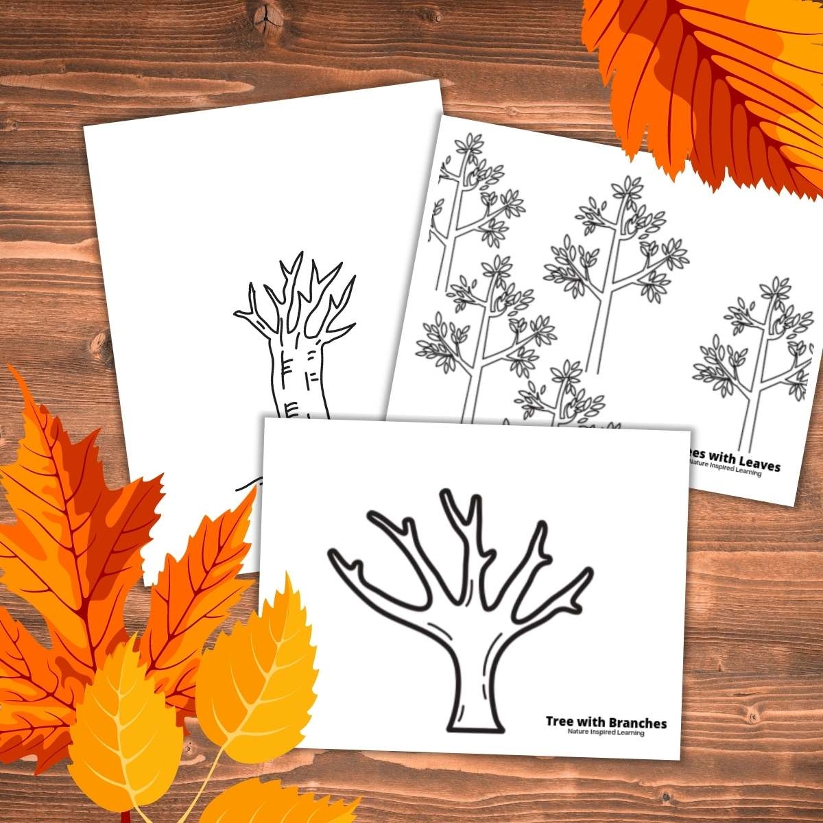 Printable Fall Tree Coloring Pages Nature Inspired Learning