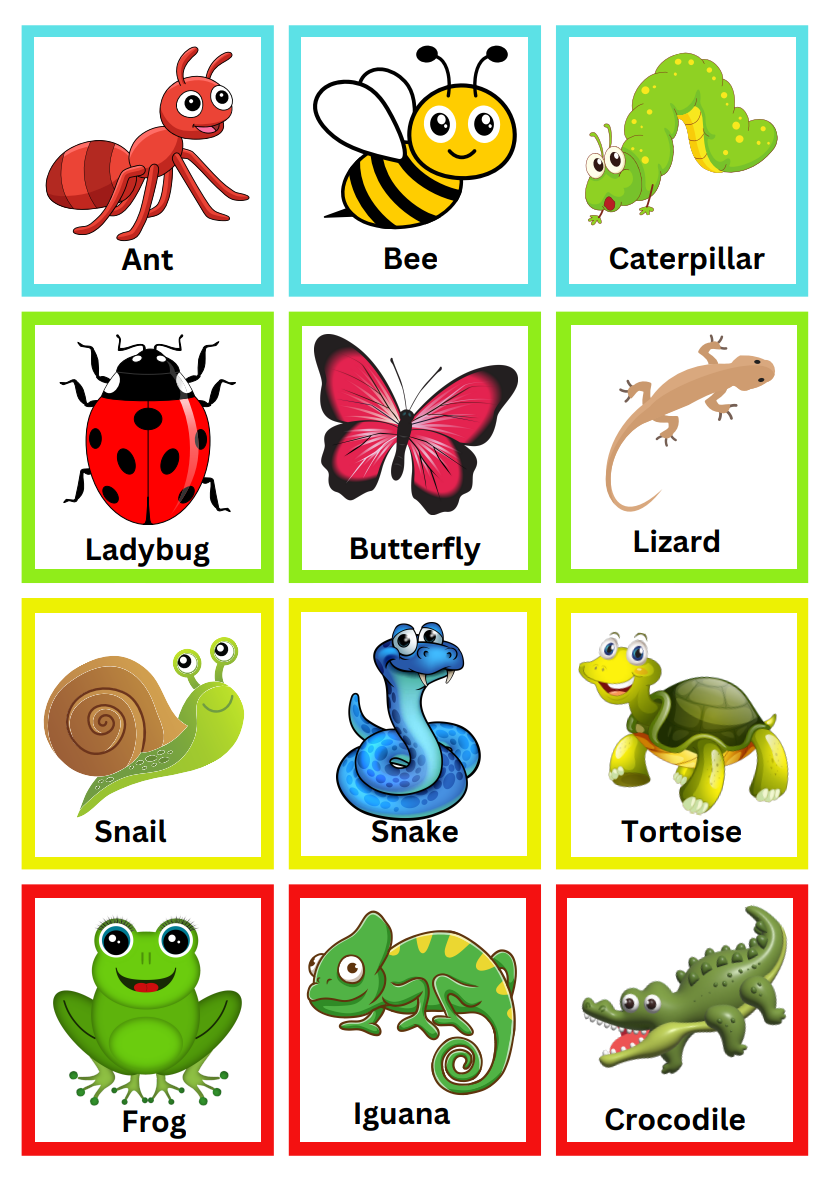 Free Insect Printables For Preschoolers