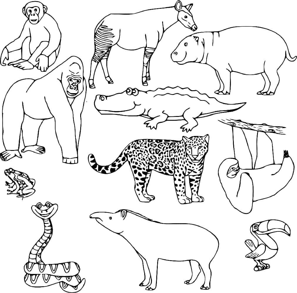Printable Jungle Animals Coloring Page Download Print Or Color Online For Free