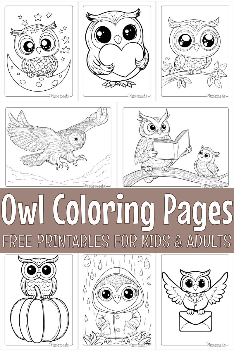Printable Owl Coloring Pages Free PDF 