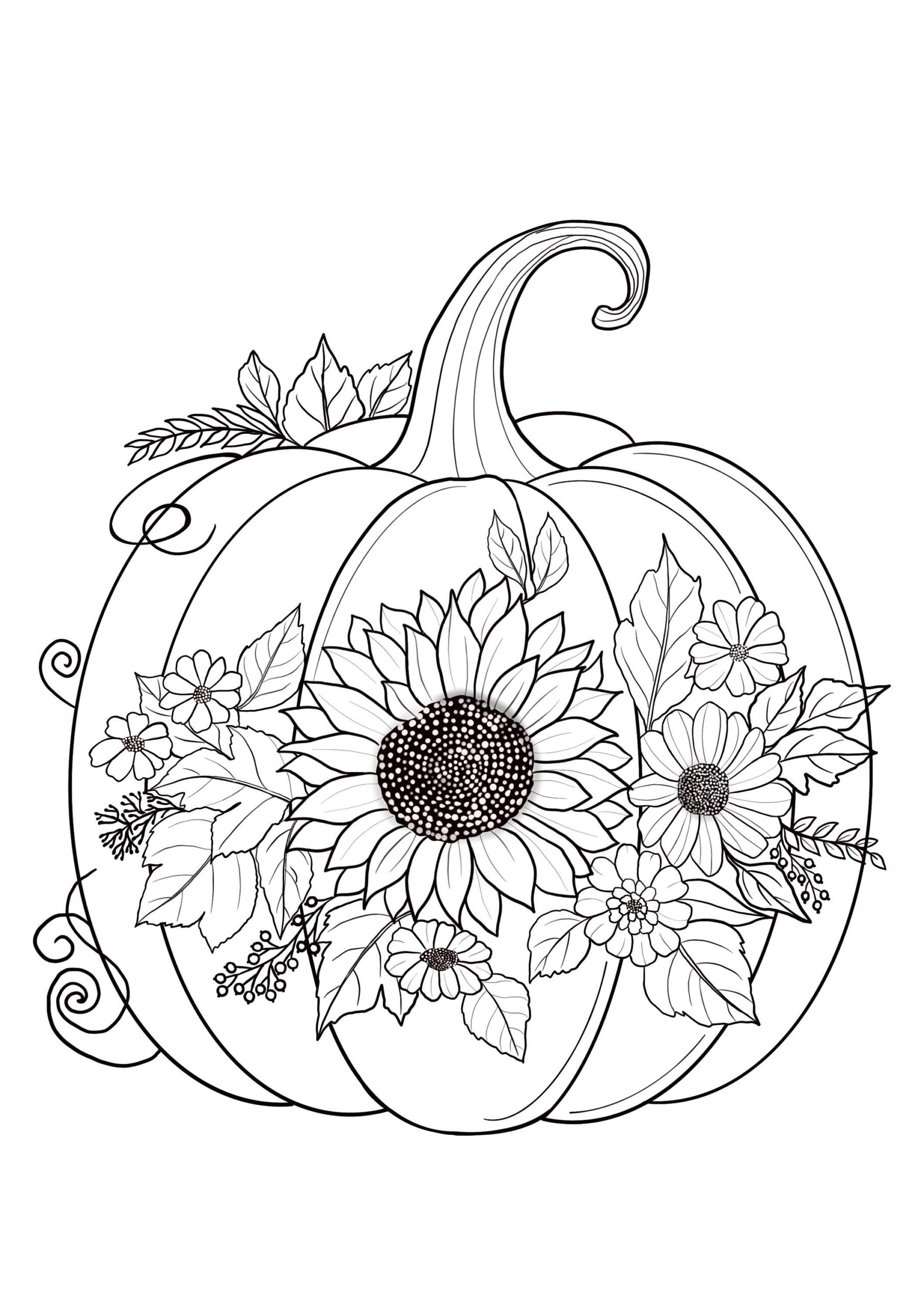 Free Printable Fall Color Sheets