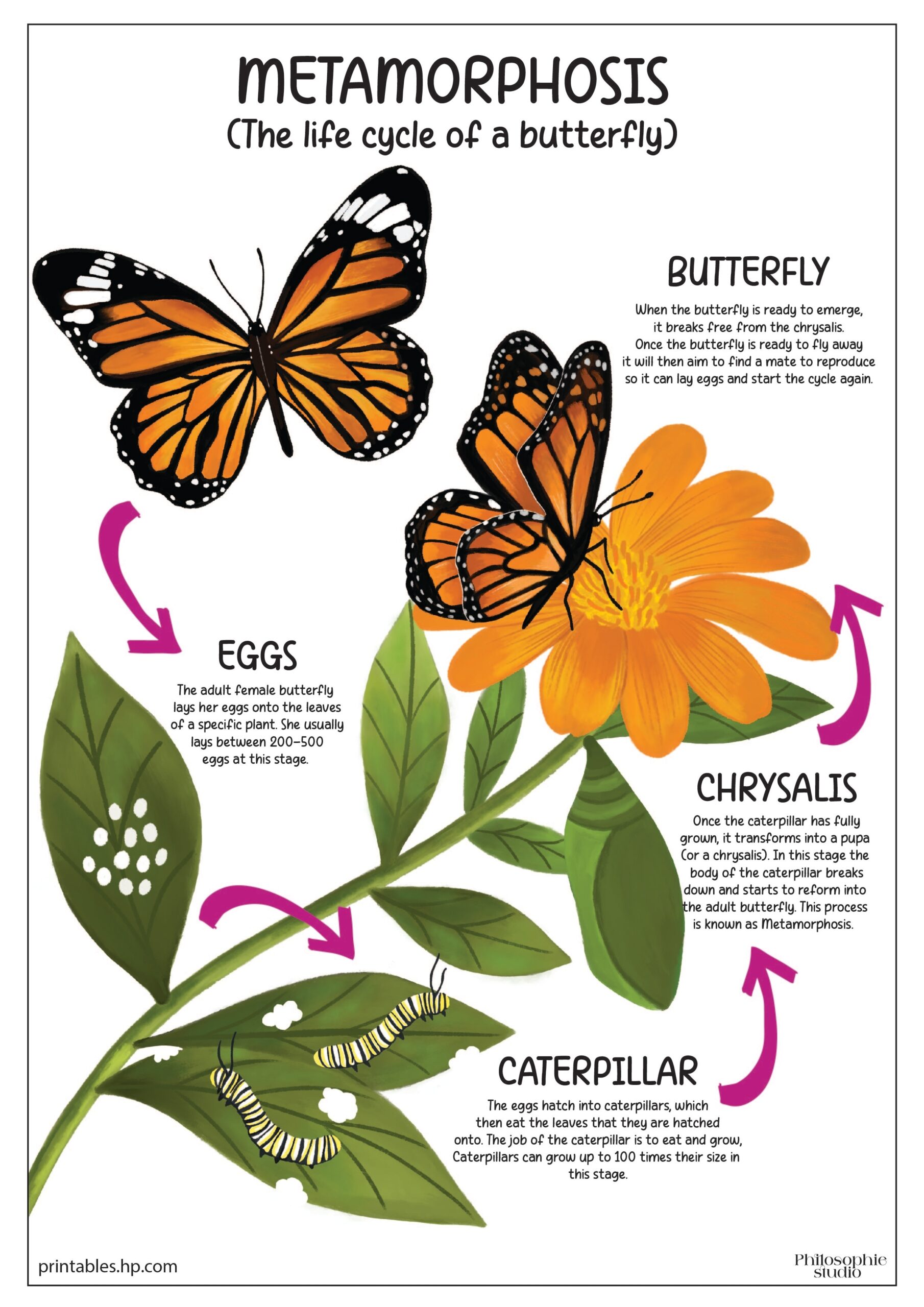 Printables Free Coloring Pages U0026 Learning Worksheets HP Official Site