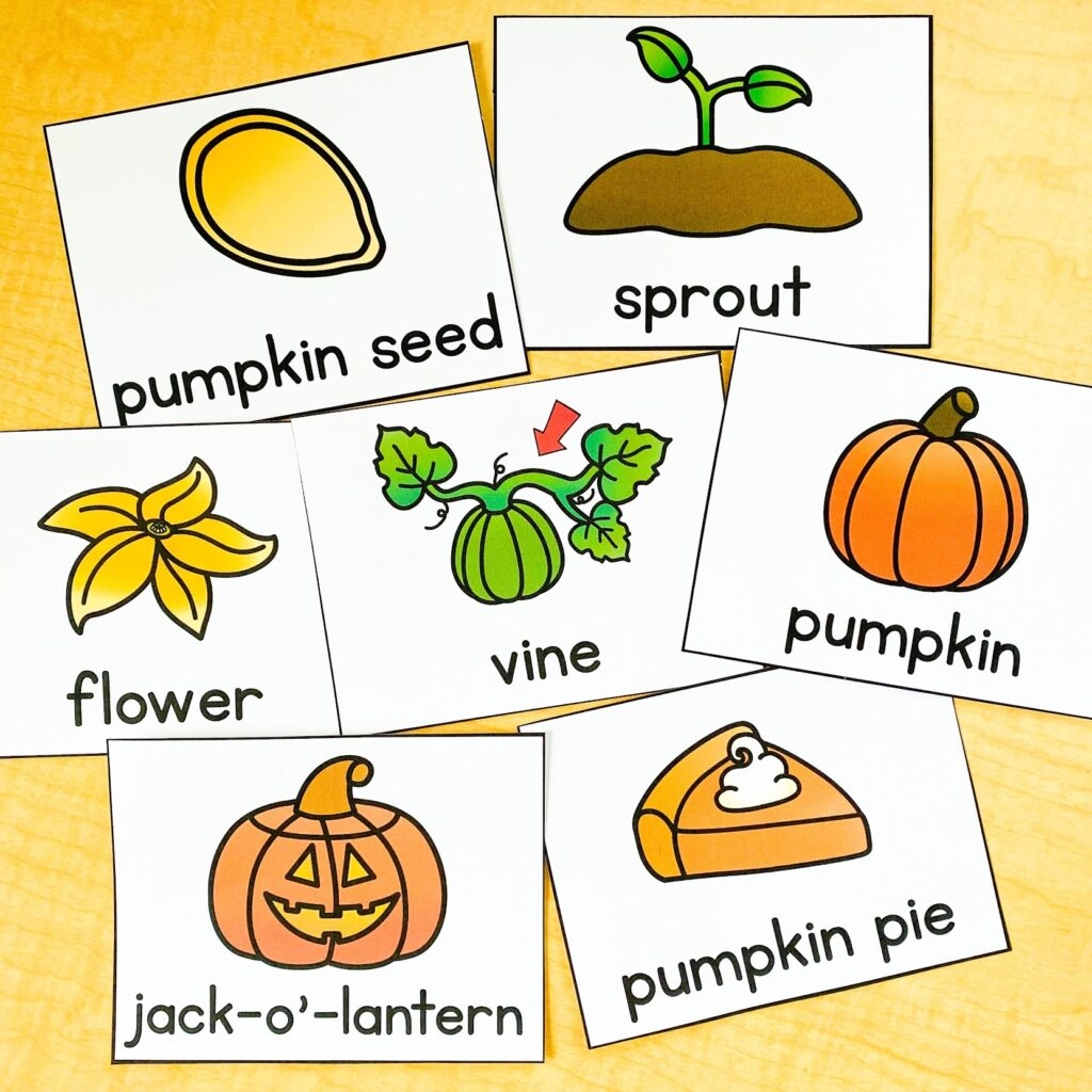 Pumpkin Life Cycle Activities For Kindergarten Katie Roltgen 