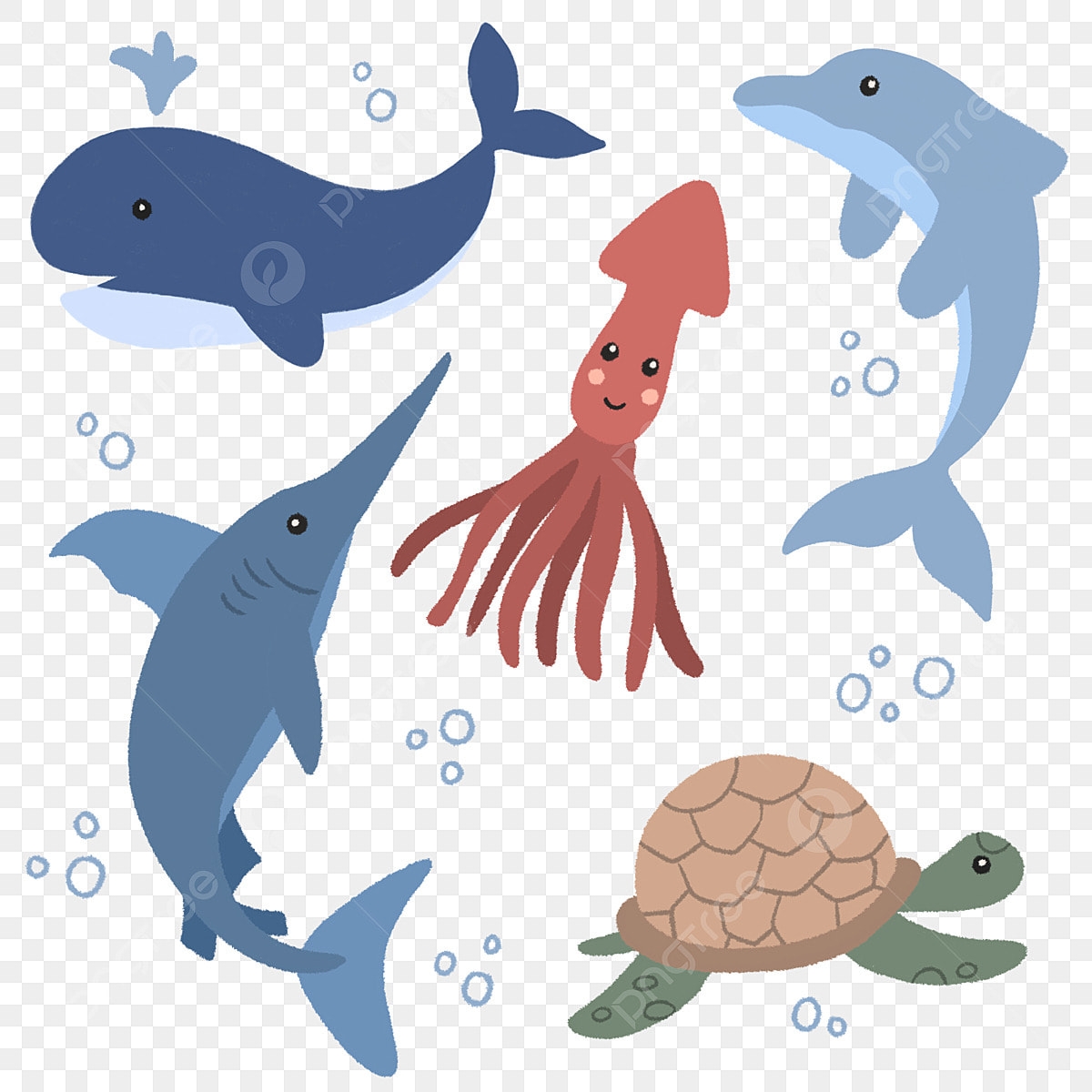 Sea Creatures White Transparent Cute Under The Sea Creature 