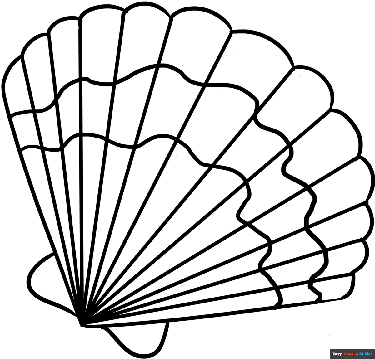 Seashell Coloring Page Easy Drawing Guides