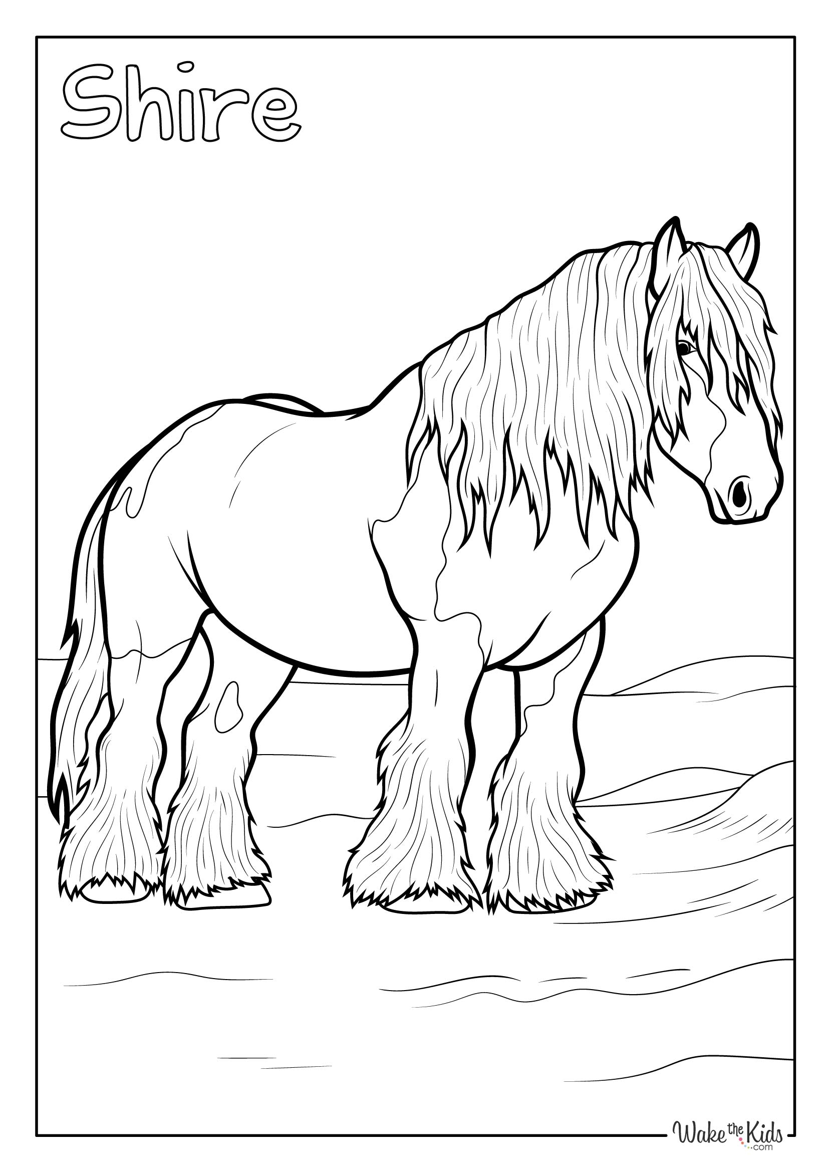 Shire Horse Coloring Pages Free Printable PDFs WakeTheKids