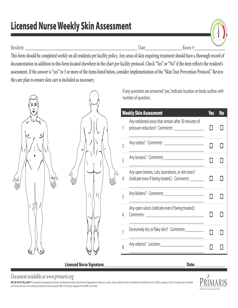 Skin Assessment Form Printable Blank PDF Online