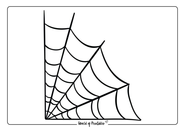 Spiderweb Printables World Of Printables