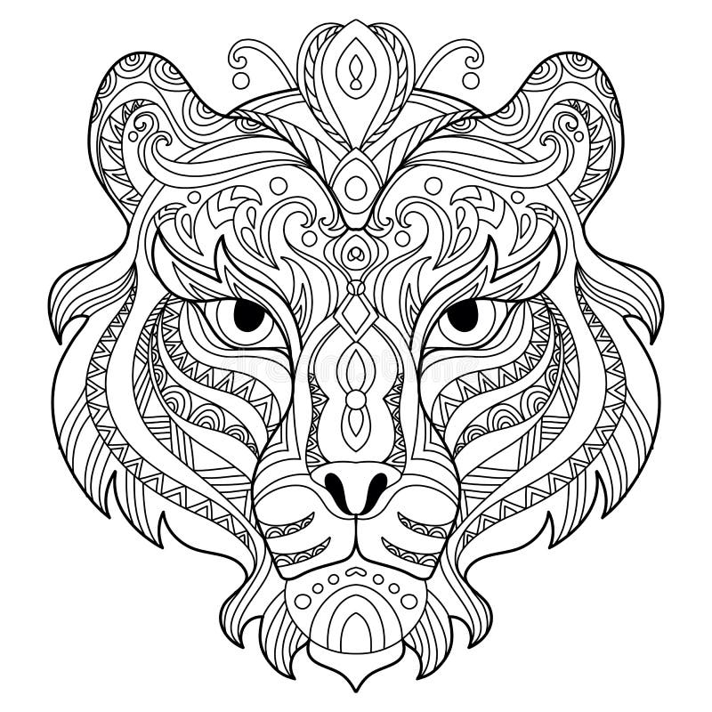 Tiger Coloring Stock Illustrations 6 250 Tiger Coloring Stock 