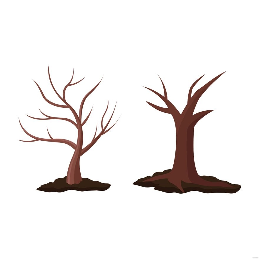 Tree Without Leaves Vector In Illustrator SVG JPG EPS PNG Download Template