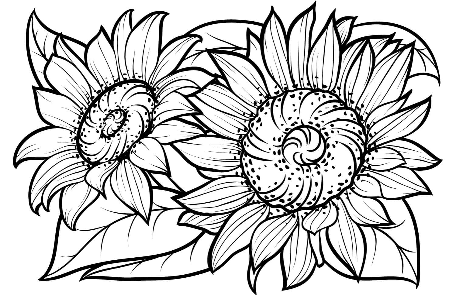 Two Sunflowers Coloring Page Download Print Or Color Online For Free