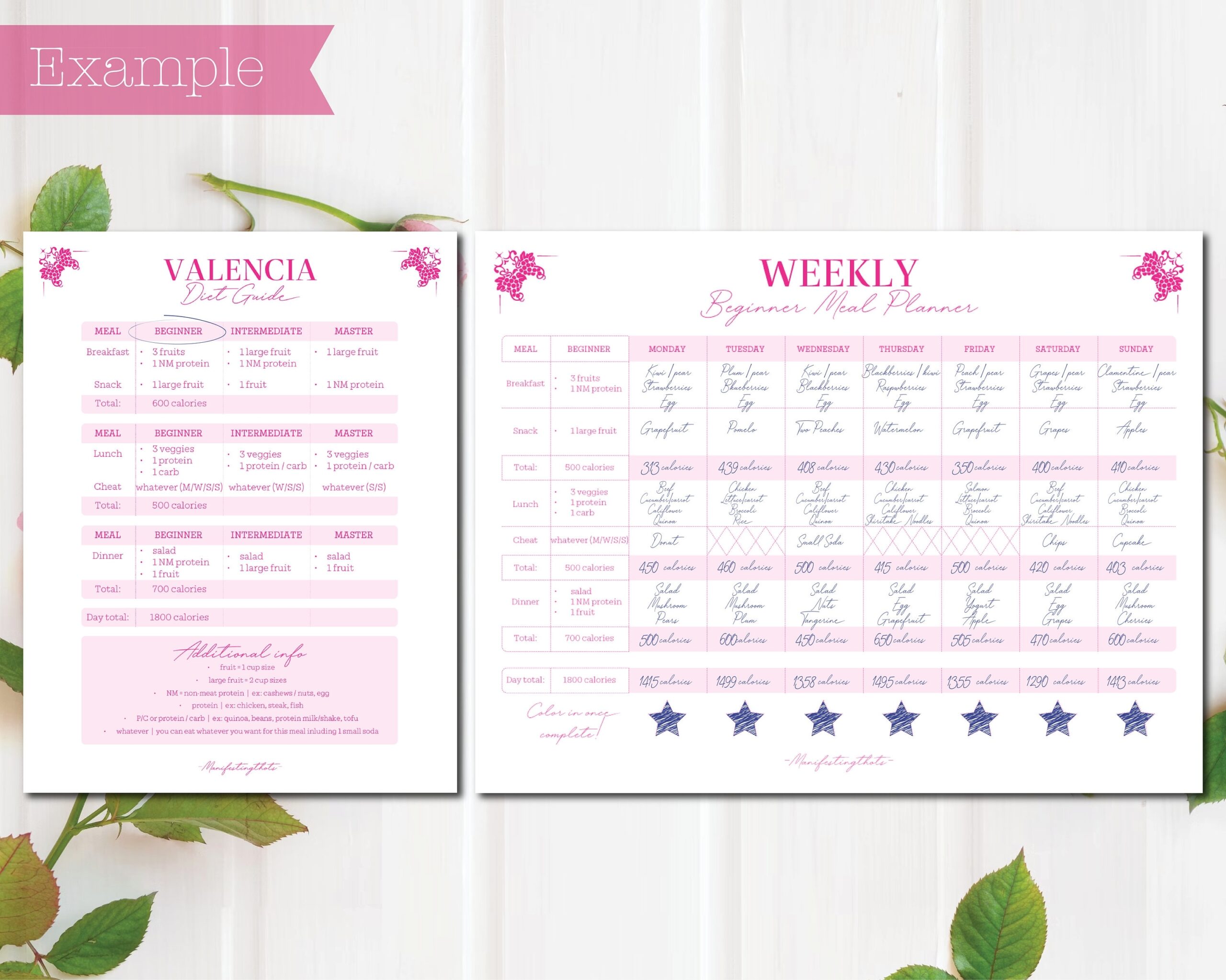 Valencia Diet Weekly Meal Planner 7 day Health U0026 Fitness Menu Diabetic friendly Option Etsy