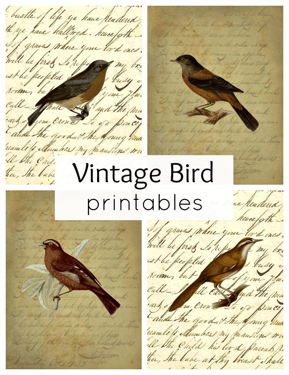 Free Printable Bird