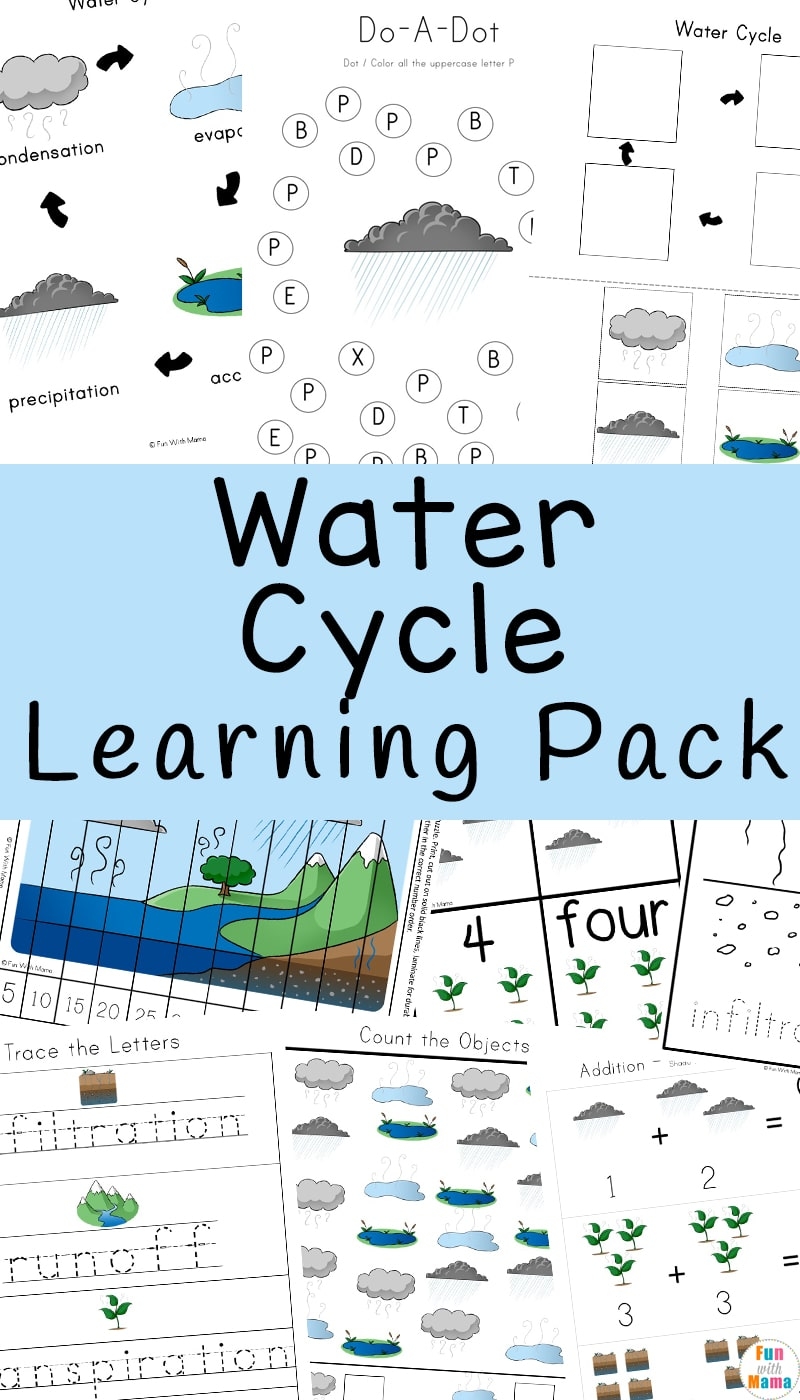 Free Printable Water Cycle Worksheets